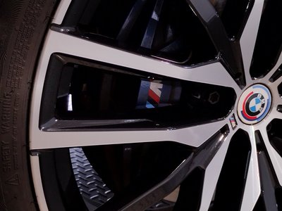 2023 BMW X6 thumbnail 25