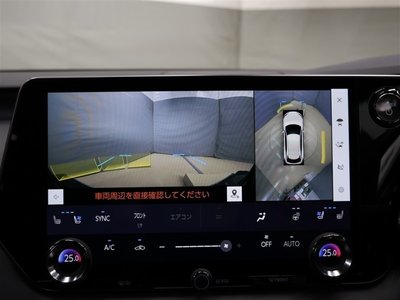 2025 Lexus RX photo 9