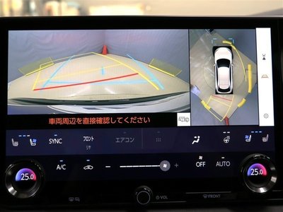 2025 Lexus RX photo 8
