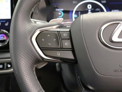 2025 Lexus RX thumbnail 28