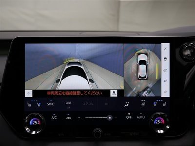 2025 Lexus RX photo 10
