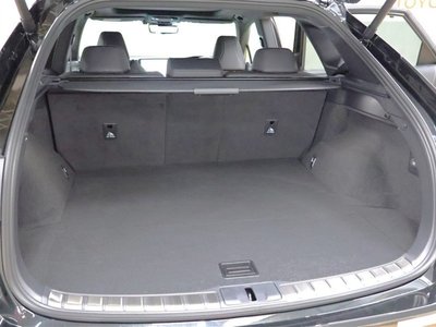 2025 Lexus RX thumbnail 30