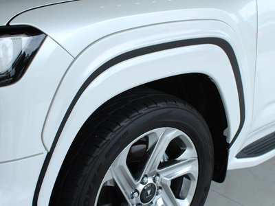 2023 Toyota LAND CRUISER 300 照片 22