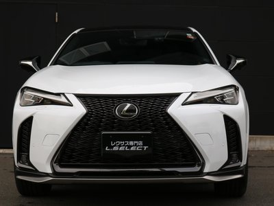 صورة 7 لـ 2023 Lexus UX
