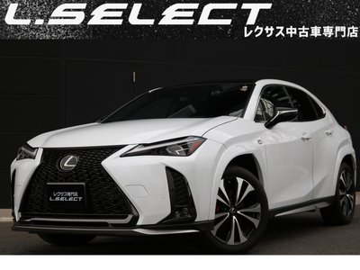 صورة 1 لـ 2023 Lexus UX