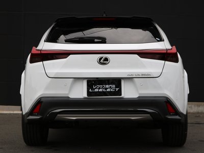 صورة 9 لـ 2023 Lexus UX