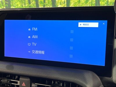 2025 Toyota LAND CRUISER 250 缩略图 21