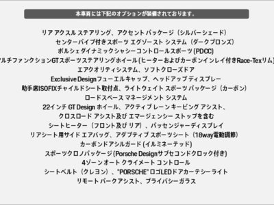 2025 Porsche CAYENNE thumbnail 21