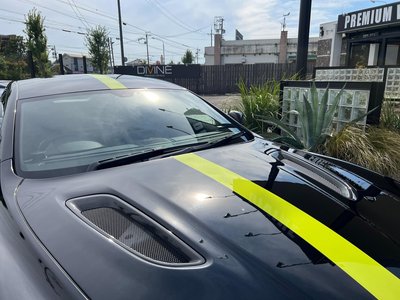 2019 Aston Martin RAPIDE — фото 11
