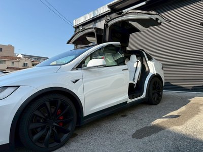 2019 Tesla MODEL X thumbnail 14