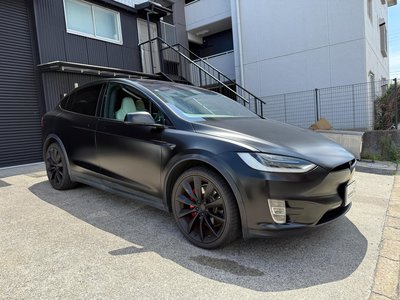 2019 Tesla MODEL X thumbnail 20