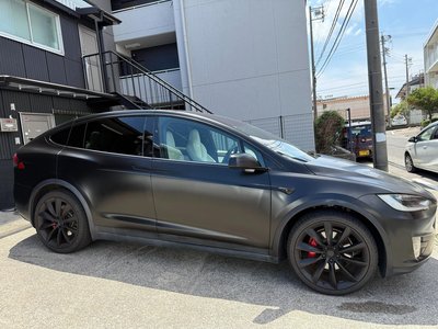 2019 Tesla MODEL X thumbnail 17