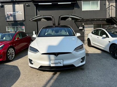 2019 Tesla MODEL X thumbnail 12