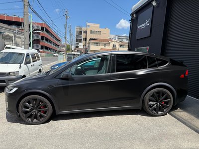 2019 Tesla MODEL X thumbnail 10