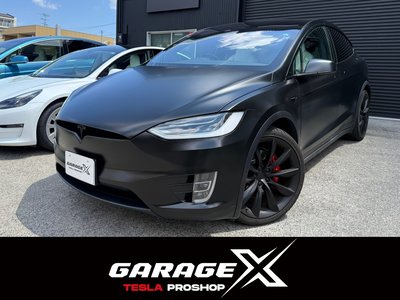 2019 Tesla MODEL X thumbnail 2