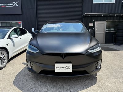 2019 Tesla MODEL X thumbnail 5