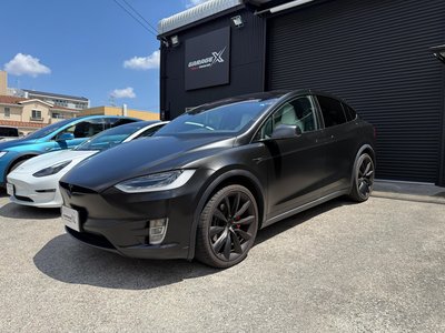 2019 Tesla MODEL X thumbnail 8