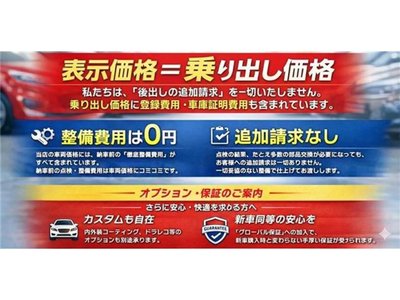2025 Toyota LAND CRUISER 250 照片 2