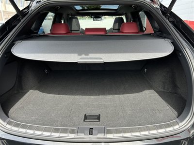 2023 Lexus RX photo 11