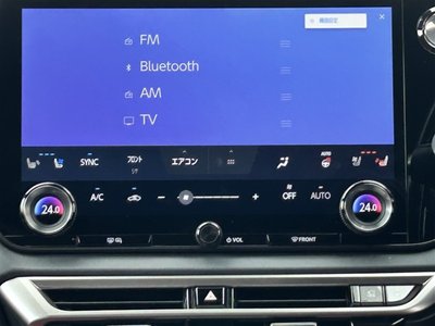 2023 Lexus RX thumbnail 30