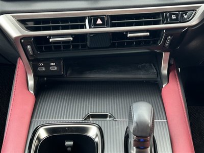 2023 Lexus RX thumbnail 31