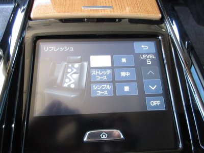 2019 Toyota CENTURY 照片 15
