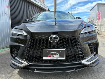 2024 Lexus RX — миниатюра 2