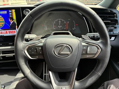 2024 Lexus RX — миниатюра 7