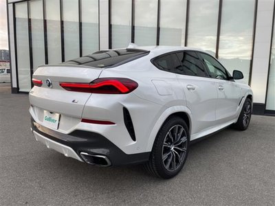 2020 BMW X6 缩略图 38
