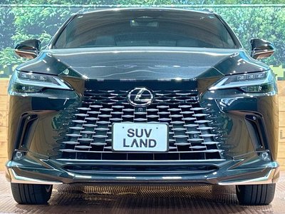 2024 Lexus RX 缩略图 14