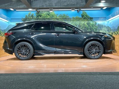 2024 Lexus RX 缩略图 61