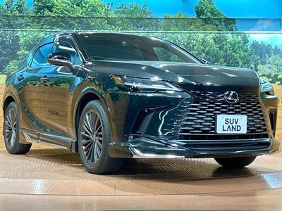 2024 Lexus RX 缩略图 16