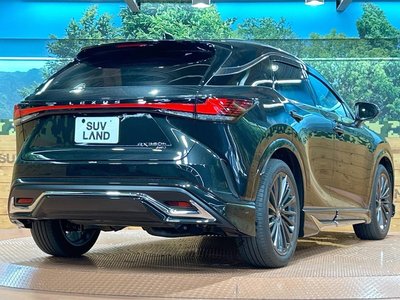 2024 Lexus RX 缩略图 17
