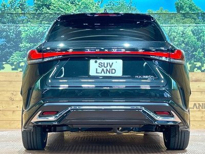 2024 Lexus RX 缩略图 15