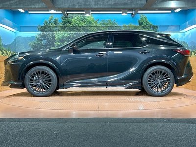 2024 Lexus RX 缩略图 62