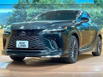 2024 Lexus RX 缩略图 59