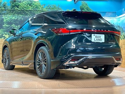 2024 Lexus RX 缩略图 60