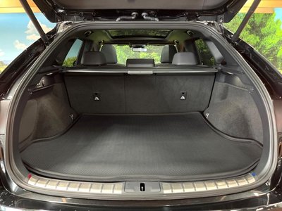 2024 Lexus RX 缩略图 10
