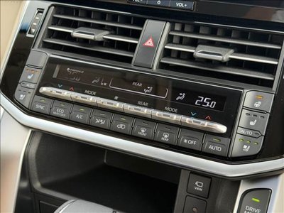 2025 Toyota LAND CRUISER 300 缩略图 14