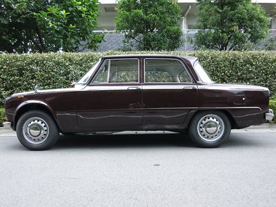 1973 ALFA Romeo JULIA 照片 8