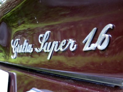 1973 ALFA Romeo JULIA 照片 9