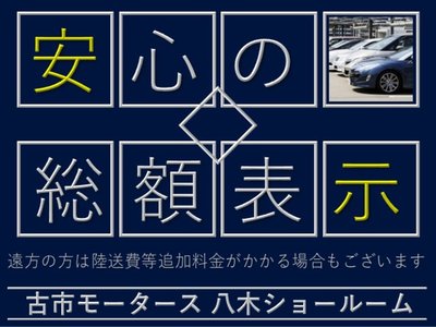 2024 Toyota LAND CRUISER 300 照片 20