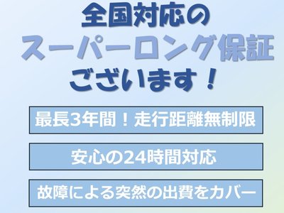 2024 Toyota LAND CRUISER 300 照片 12