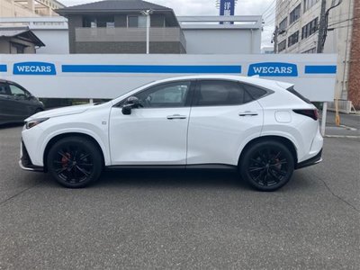 2025 Lexus NX photo 6