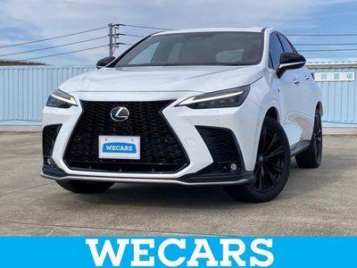 2025 Lexus NX photo 1