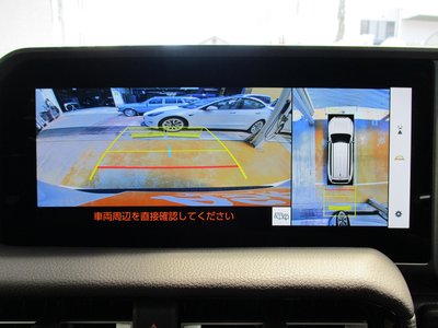 2024 Toyota LAND CRUISER 250 照片 13