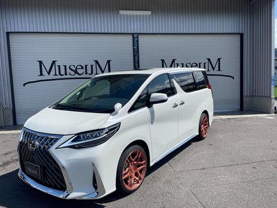 2023 Toyota ALPHARD — фото 21