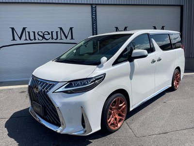 2023 Toyota ALPHARD — фото 19