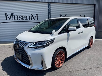 2023 Toyota ALPHARD — фото 18