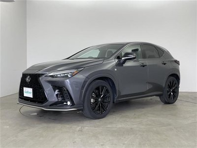 2023 Lexus NX 缩略图 37